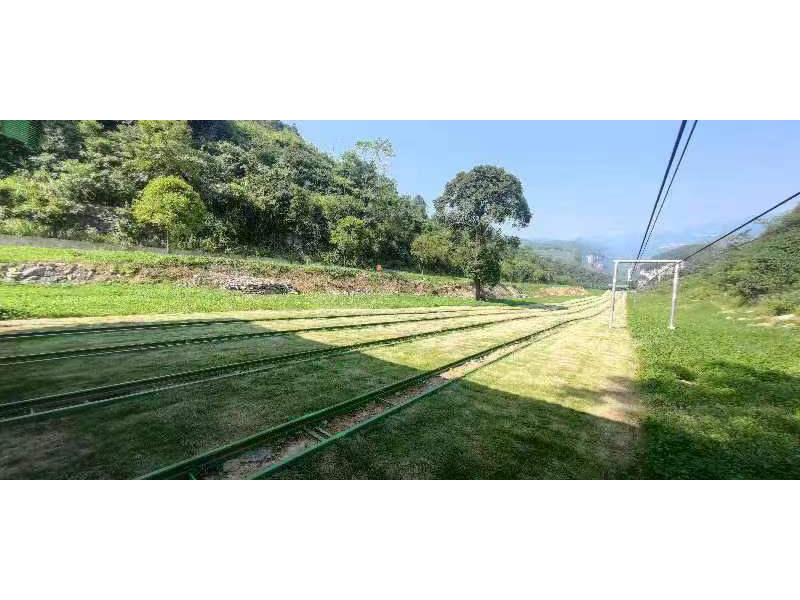 轨道滑草